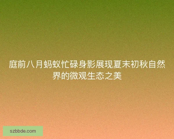 庭前八月蚂蚁忙碌身影展现夏末初秋自然界的微观生态之美