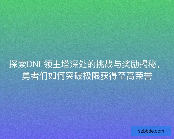 探索DNF领主塔深处的挑战与奖励揭秘，勇者们如何突破极限获得至高荣誉