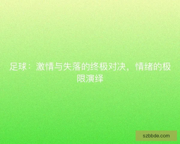 足球：激情与失落的终极对决，情绪的极限演绎