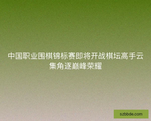 中国职业围棋锦标赛即将开战棋坛高手云集角逐巅峰荣耀