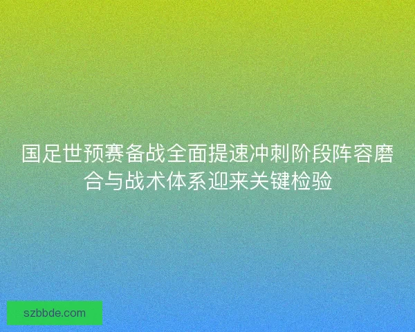 国足世预赛备战全面提速冲刺阶段阵容磨合与战术体系迎来关键检验